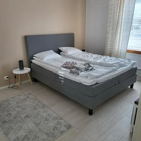 Rivitalo-asunto Kausalassa Apartment Iitti